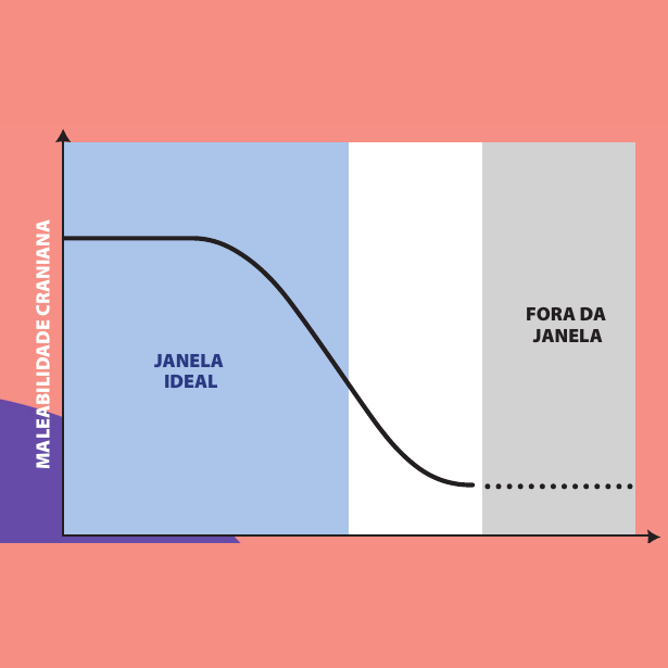 Gráfico mostrando a janela ideal de tratamento e a diminuição da maleabilidade craniana ao longo dos meses